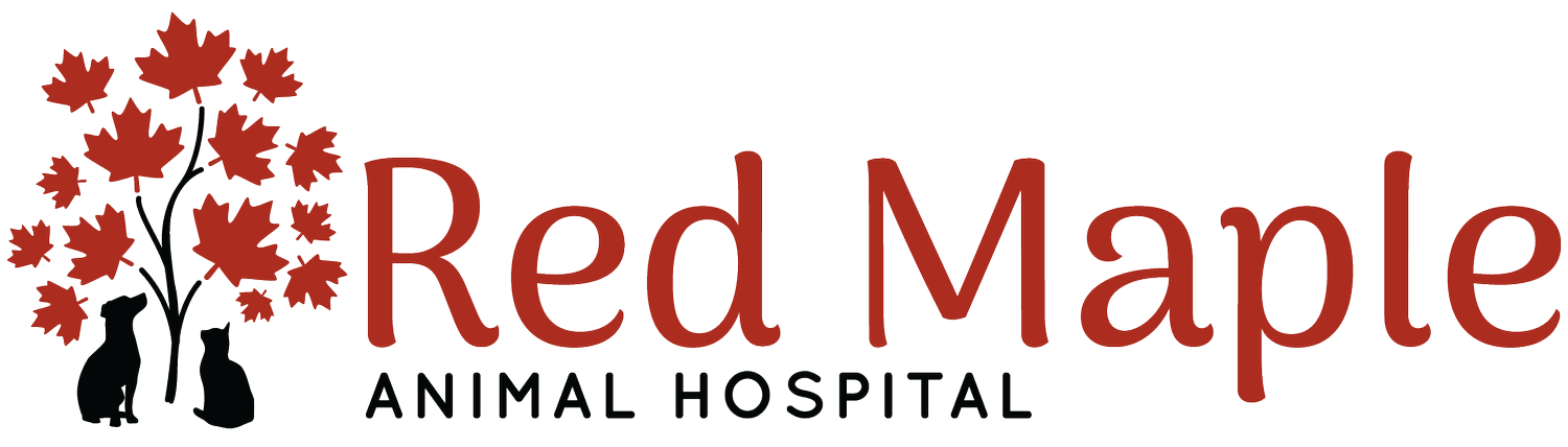 Red Maple Animal Hospital