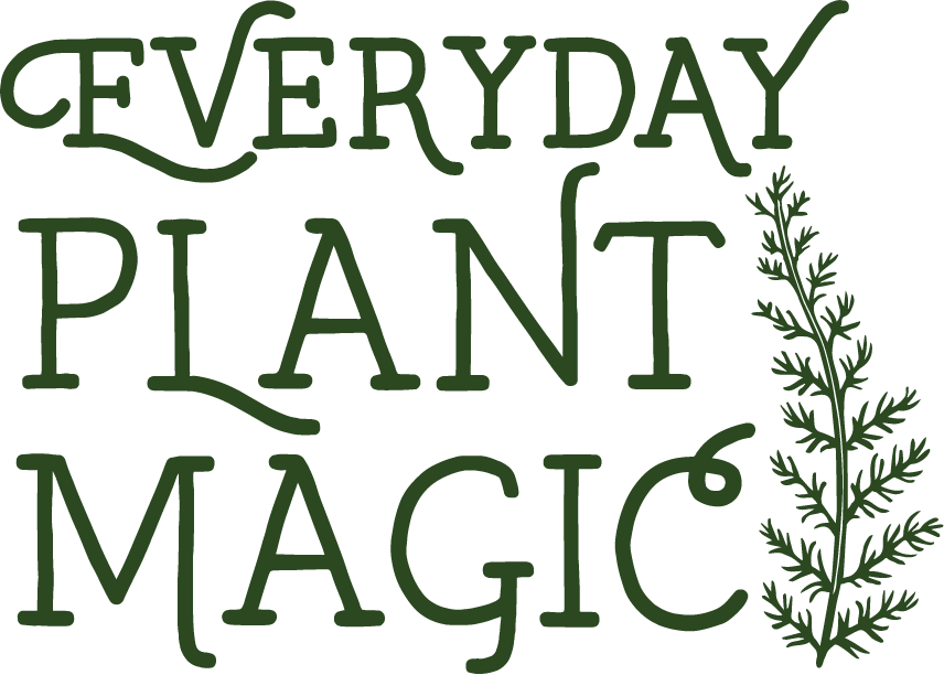 Everyday Plant Magic 