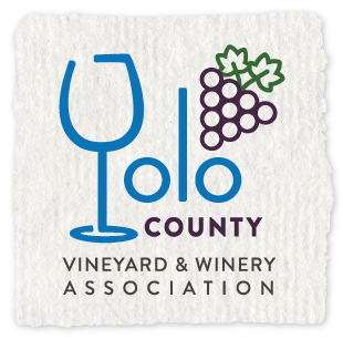 Yolo County Wines