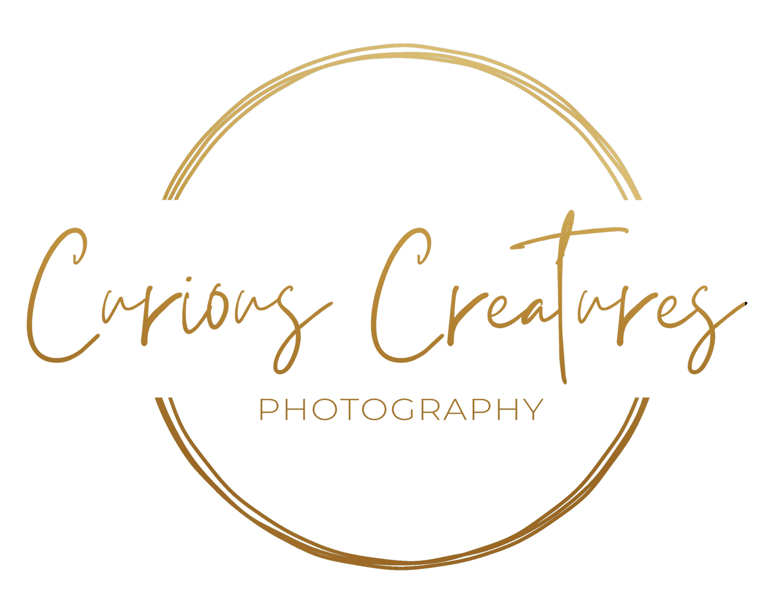 Curious Creatures Photography
