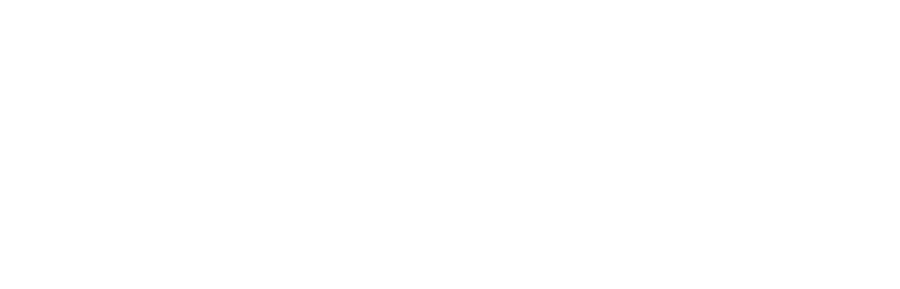 Team Clueless