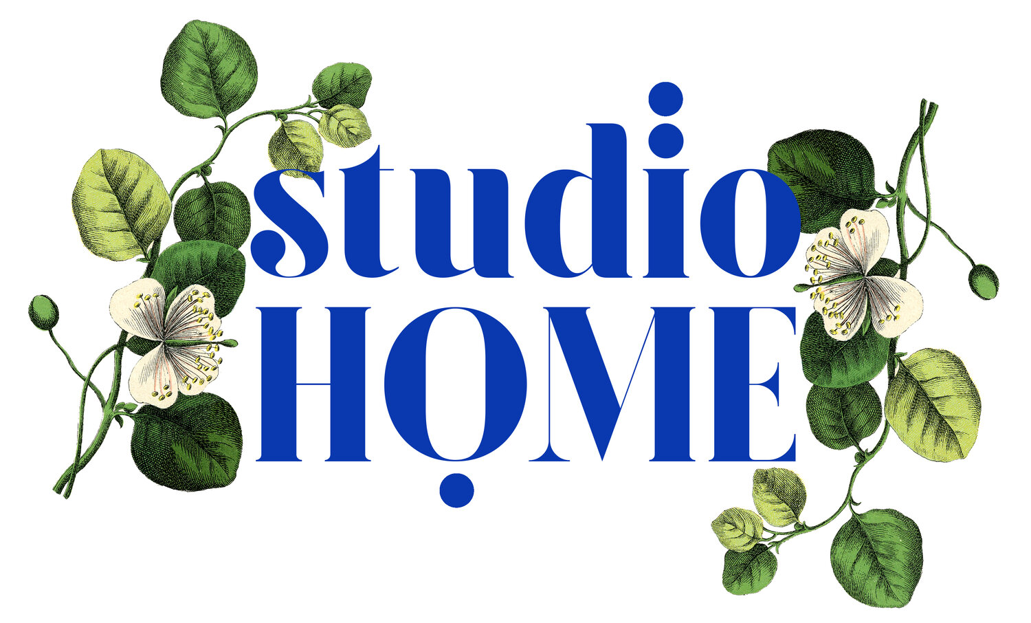 Studio Home