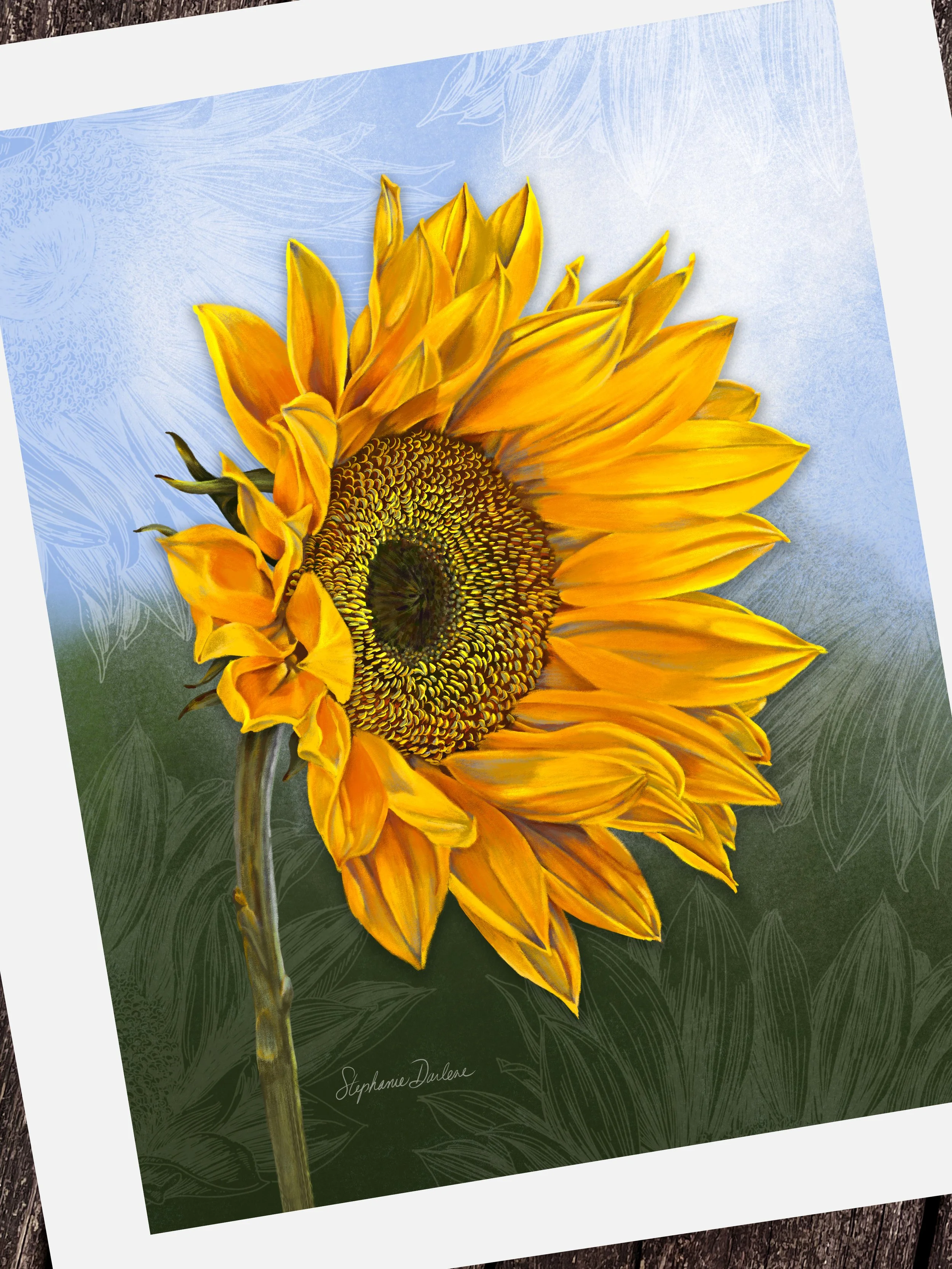 【真作】ヘレンポール 「SUNFLOWER PATCH」 版画 真作】ヘレンポール 「SUNFLOWER PATCH」 版画 真作】ヘレンポール