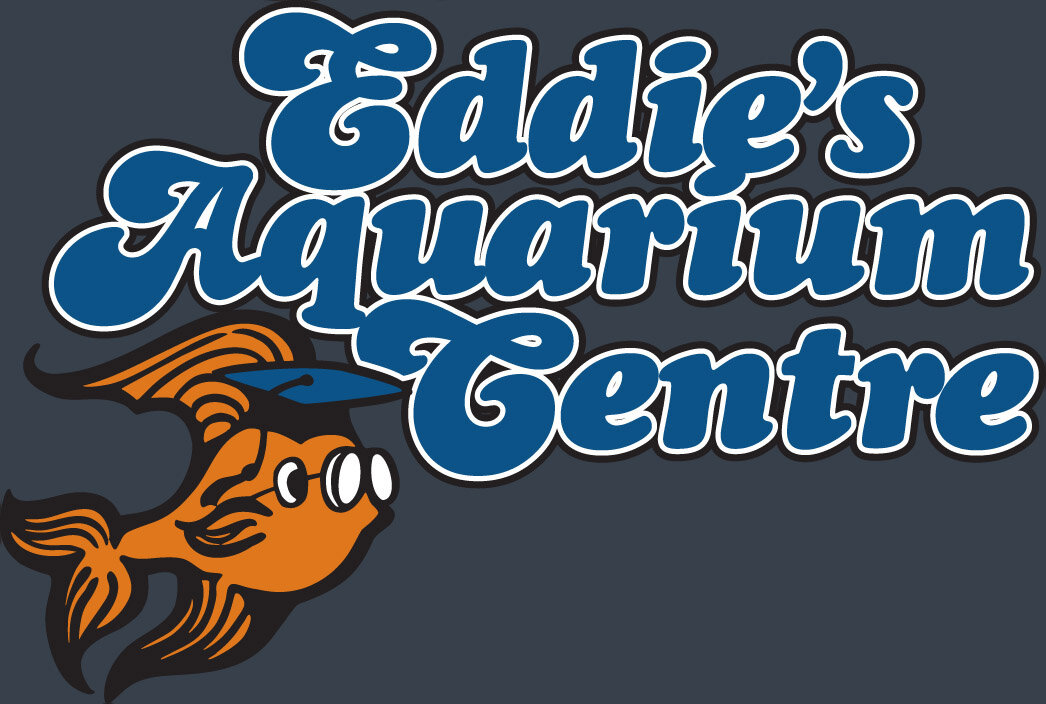 Eddie's Aquarium Centre | Aquarium Store Albany NY | Pond Construction Saratoga | Plunge Pools Albany NY