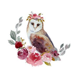 Morning Owl Fine Art Photography