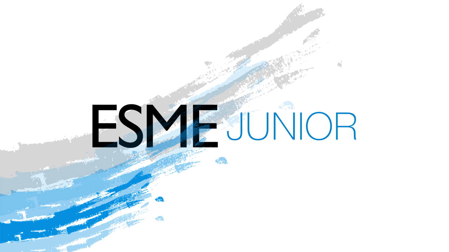 ESME Junior Empresa