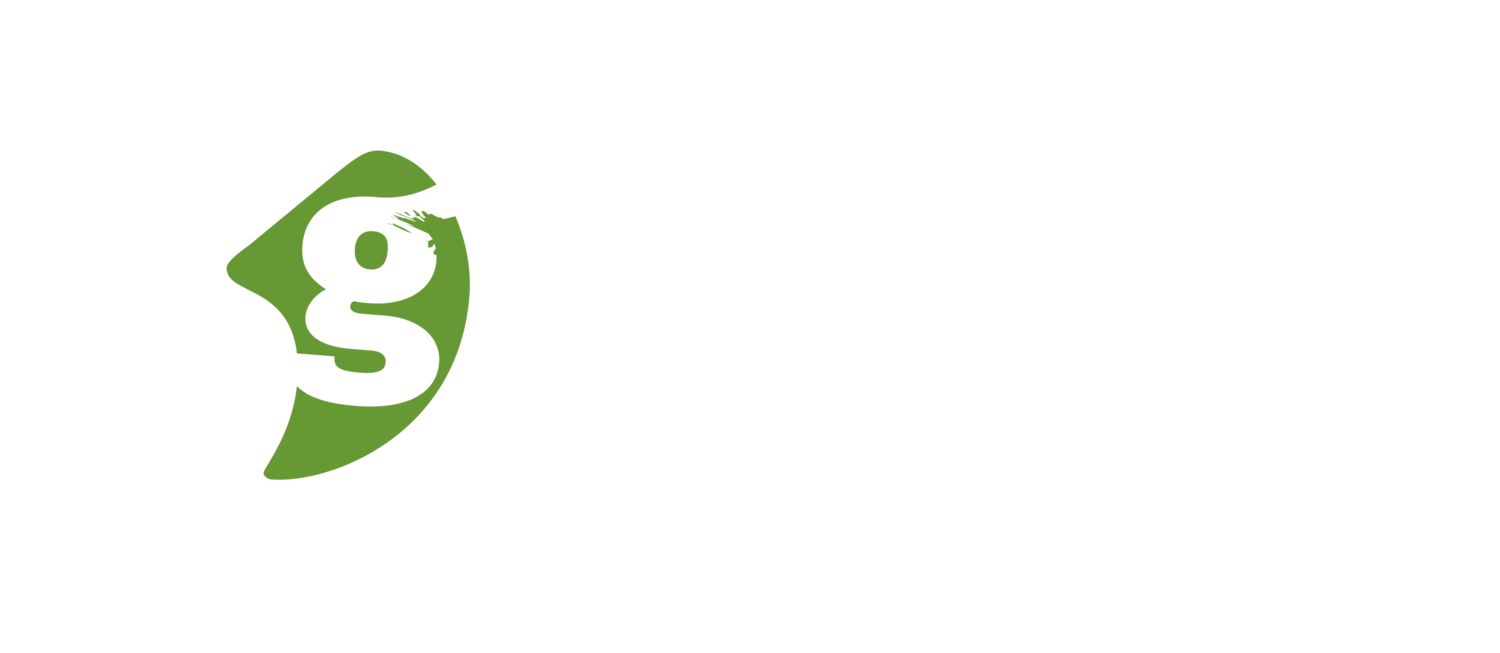 Green Comma Media
