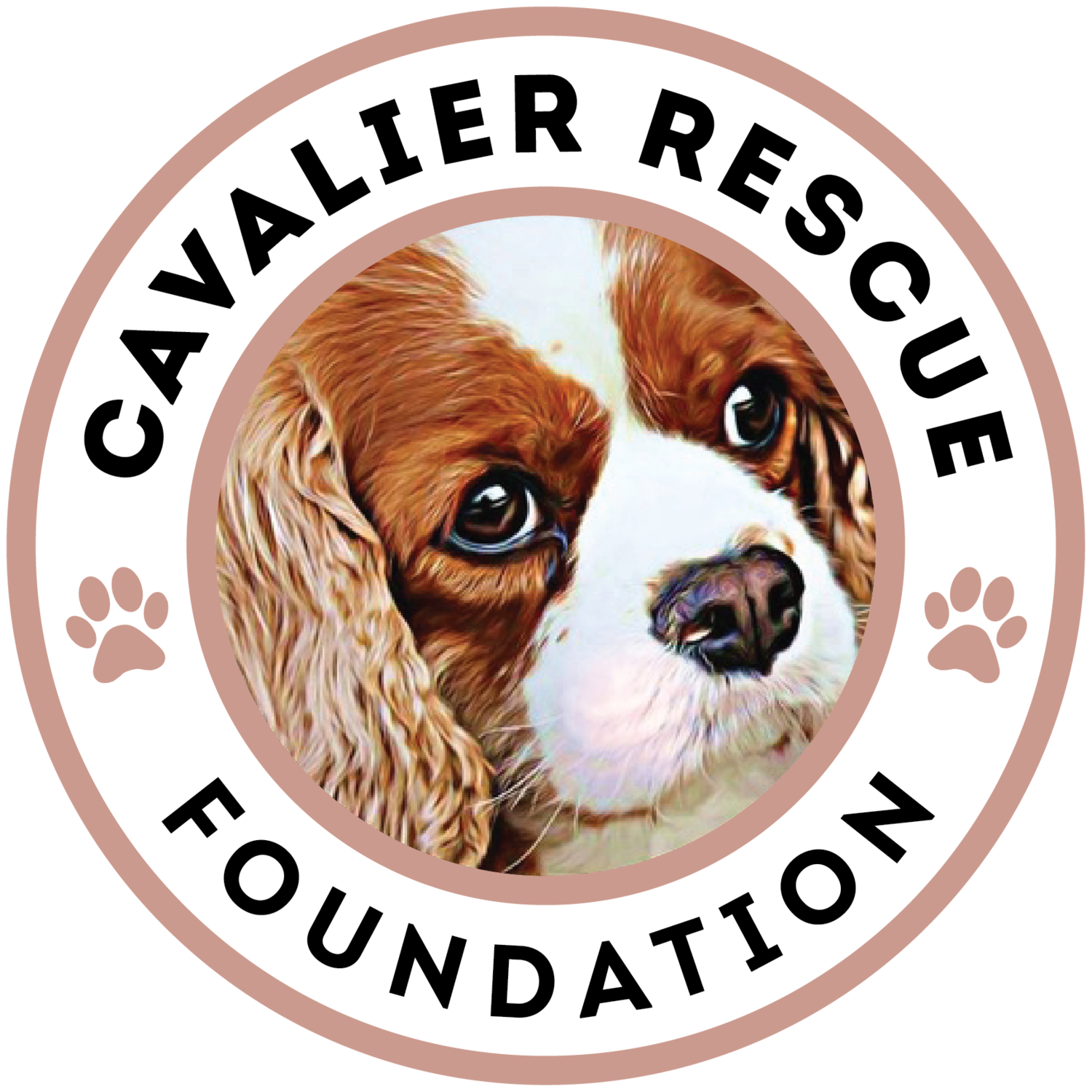 Cavalier Rescue Foundation 