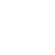 Novela