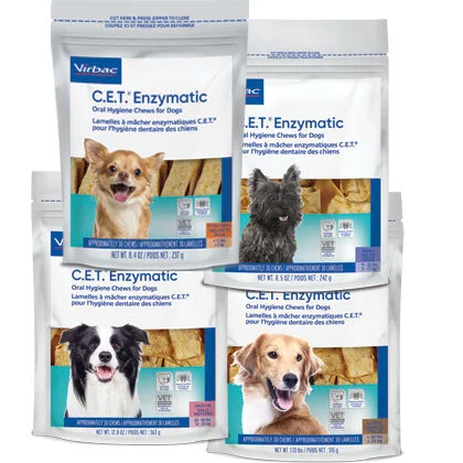 cet enzyme chews