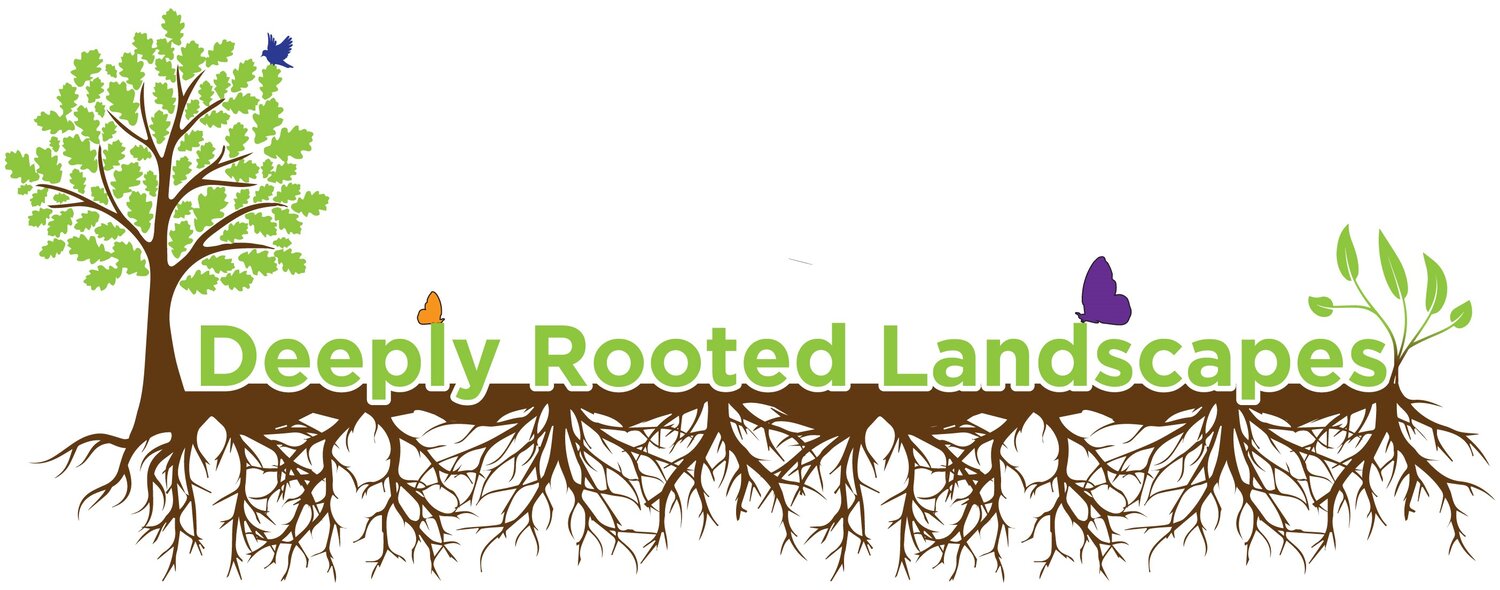 Deeply Rooted Landscapes