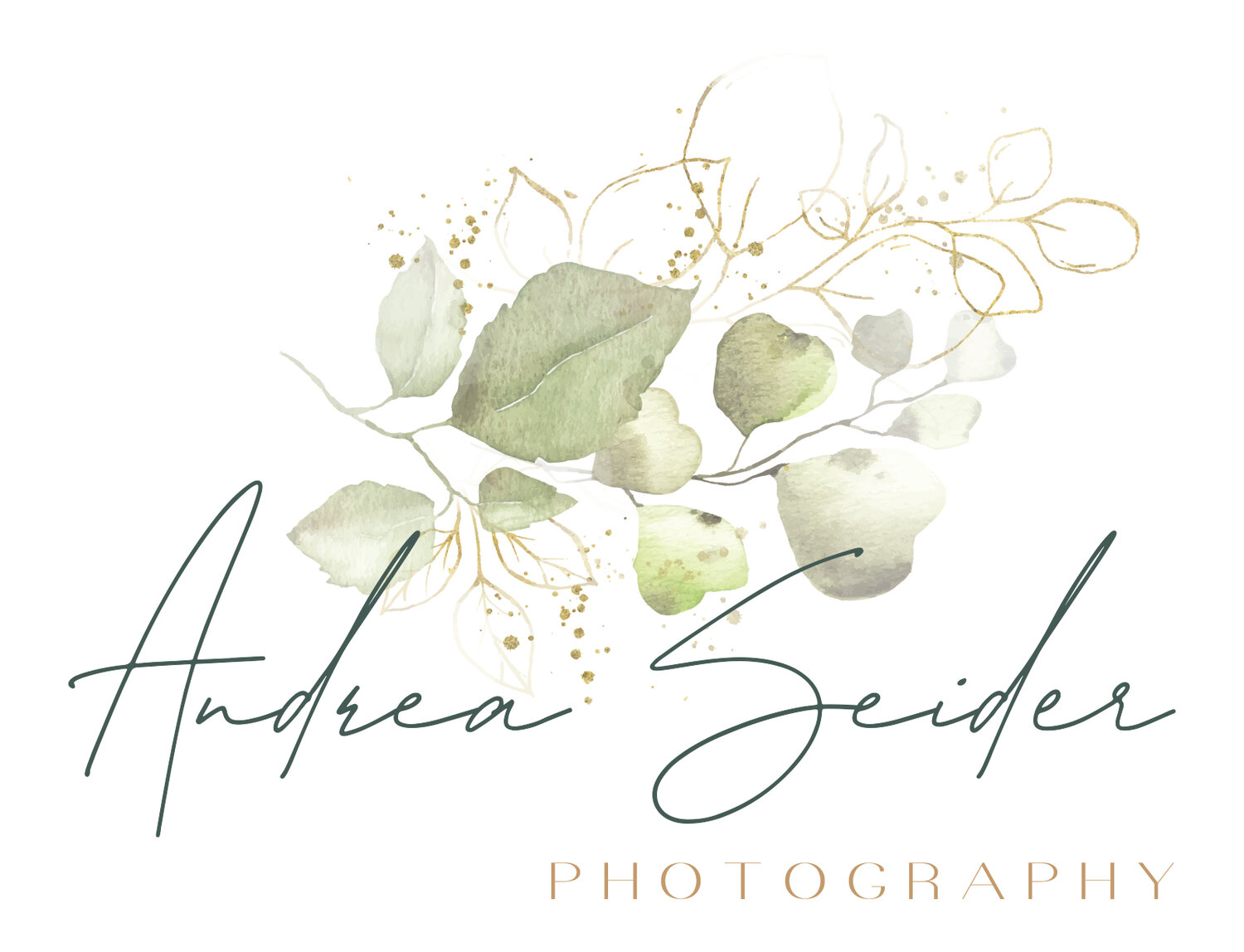 Andrea Seider Photography