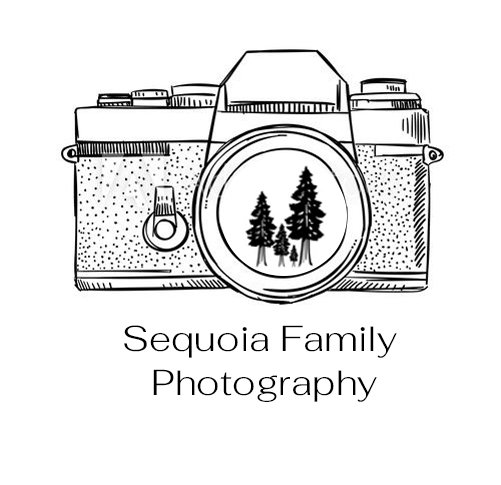 Sequoia Family Photography