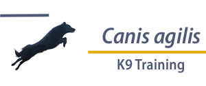 Canis agilis K9 Training