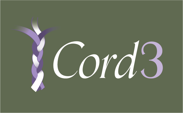 Cord 3