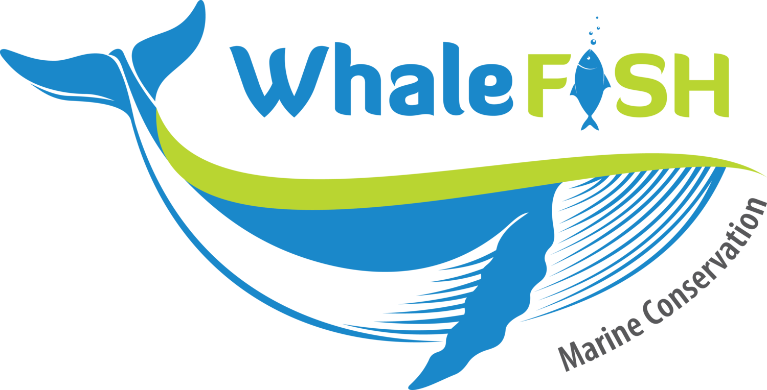 Whalefish