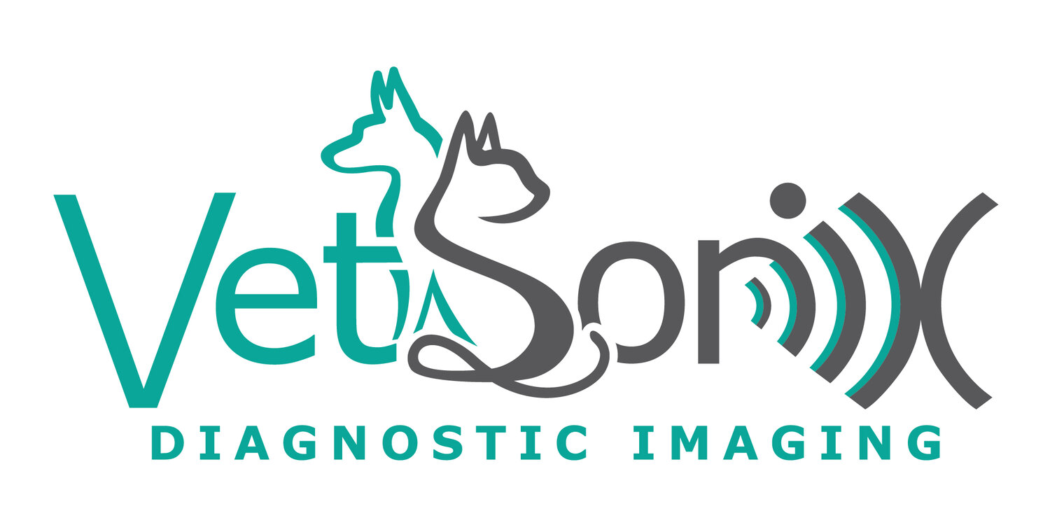 VetSonix Diagnostic Imaging