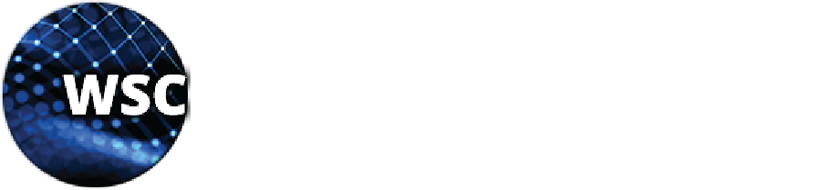 WS Consulting Inc