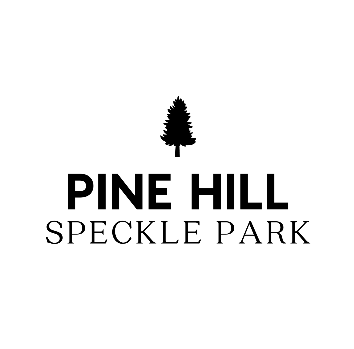 Pine Hill Speckle Park Cattle