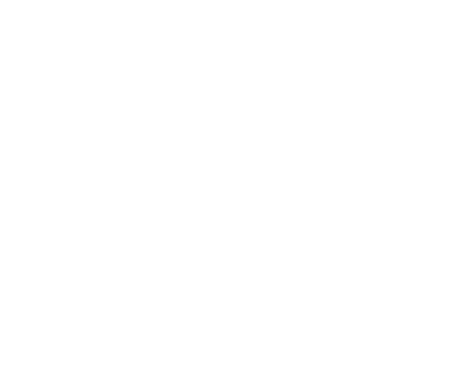 The Snag Co.