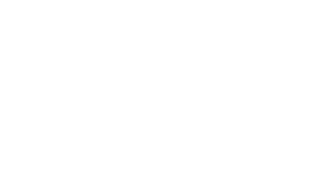 Le Wok