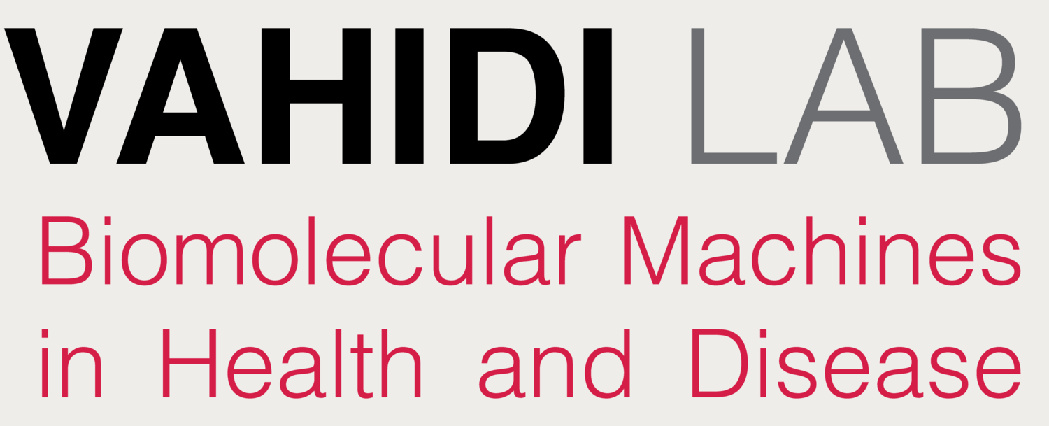VAHIDI LAB - Biomolecular Machines in Health and Disease