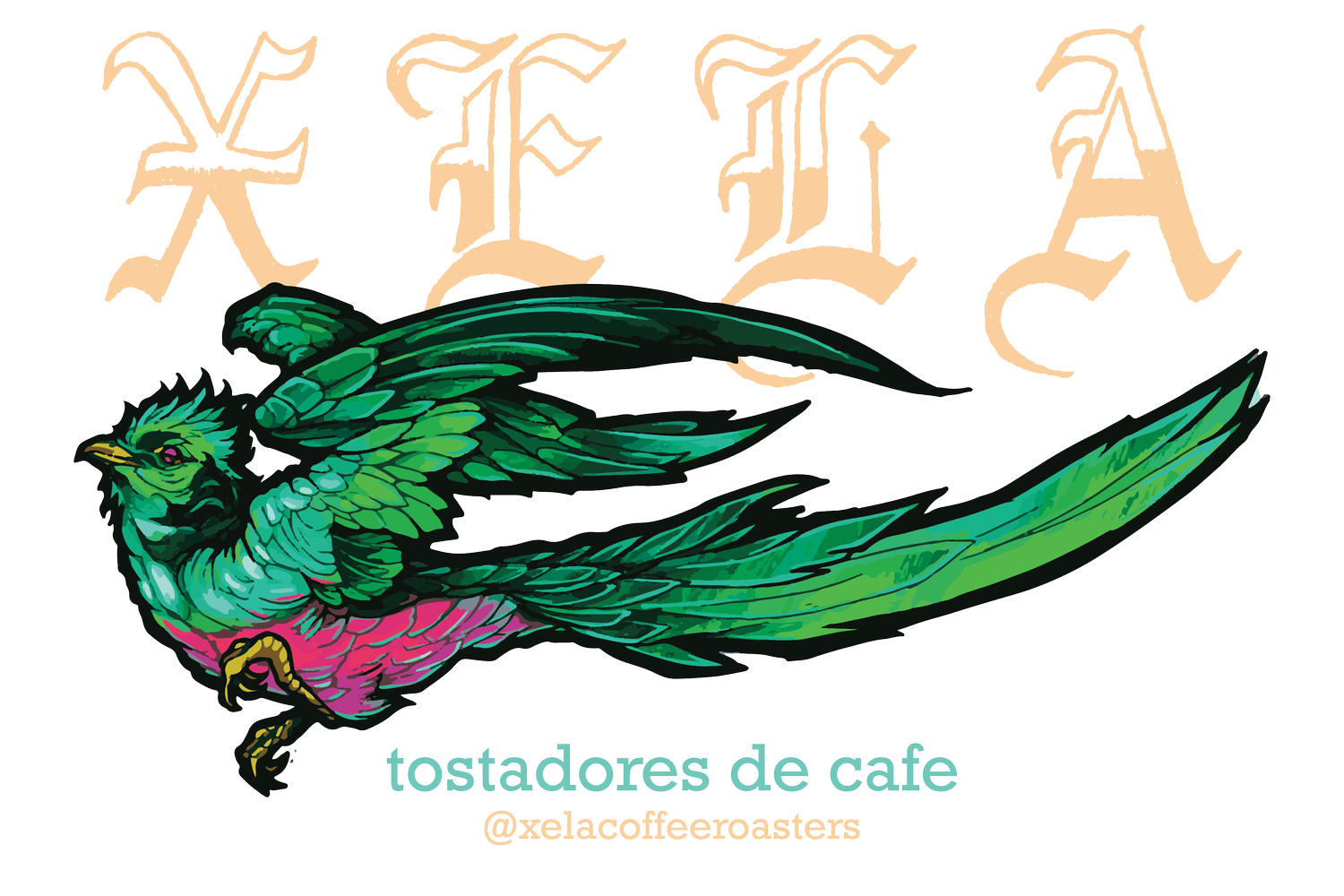XELA ROASTERS