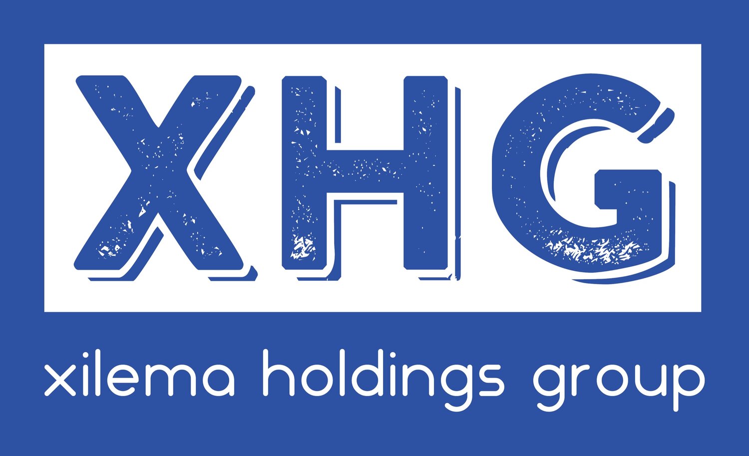XiLema Holdings Group