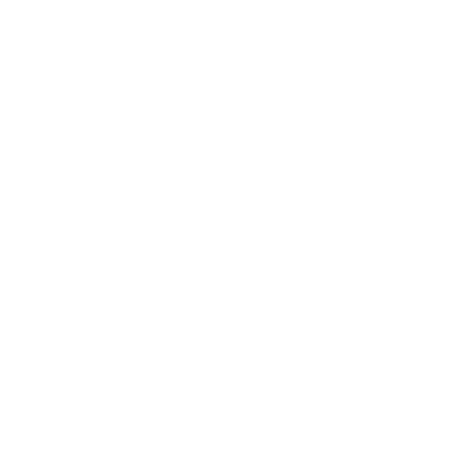 Seido Karate Brisbane