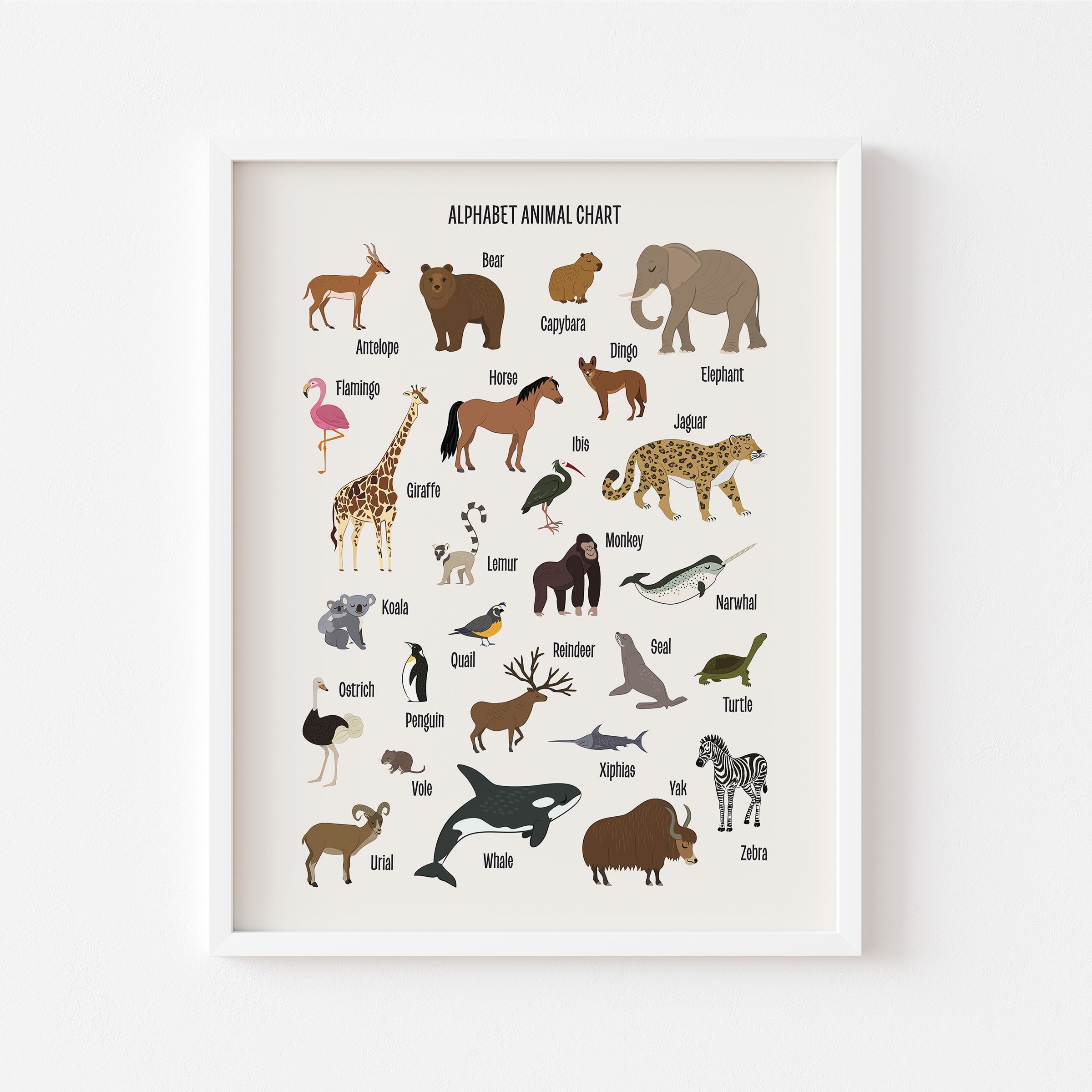 Framed Animal Alphabet Poster — Skye & Friends