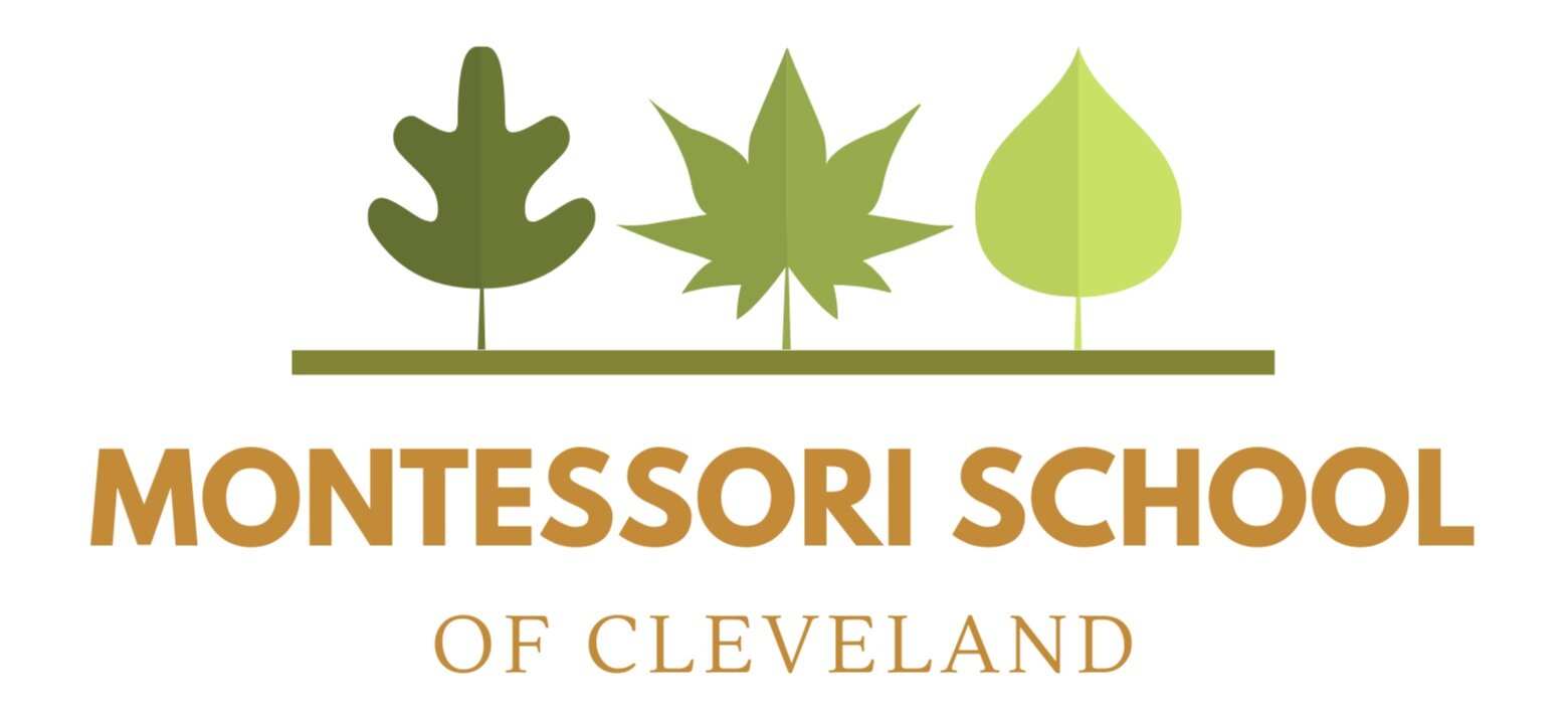 THE MONTESSORI SCHOOL OF CLEVELAND