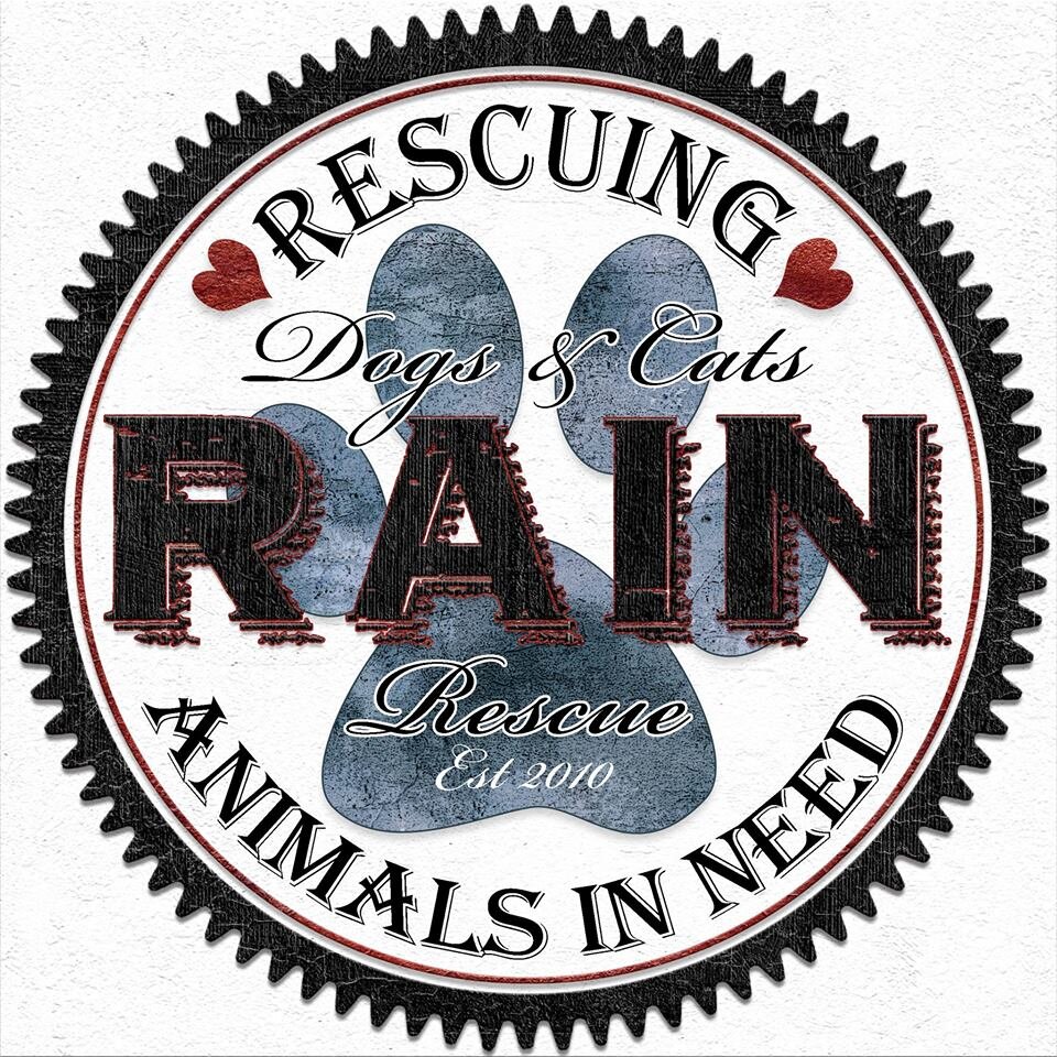R.A.I.N. | Rescuing Animals in Need