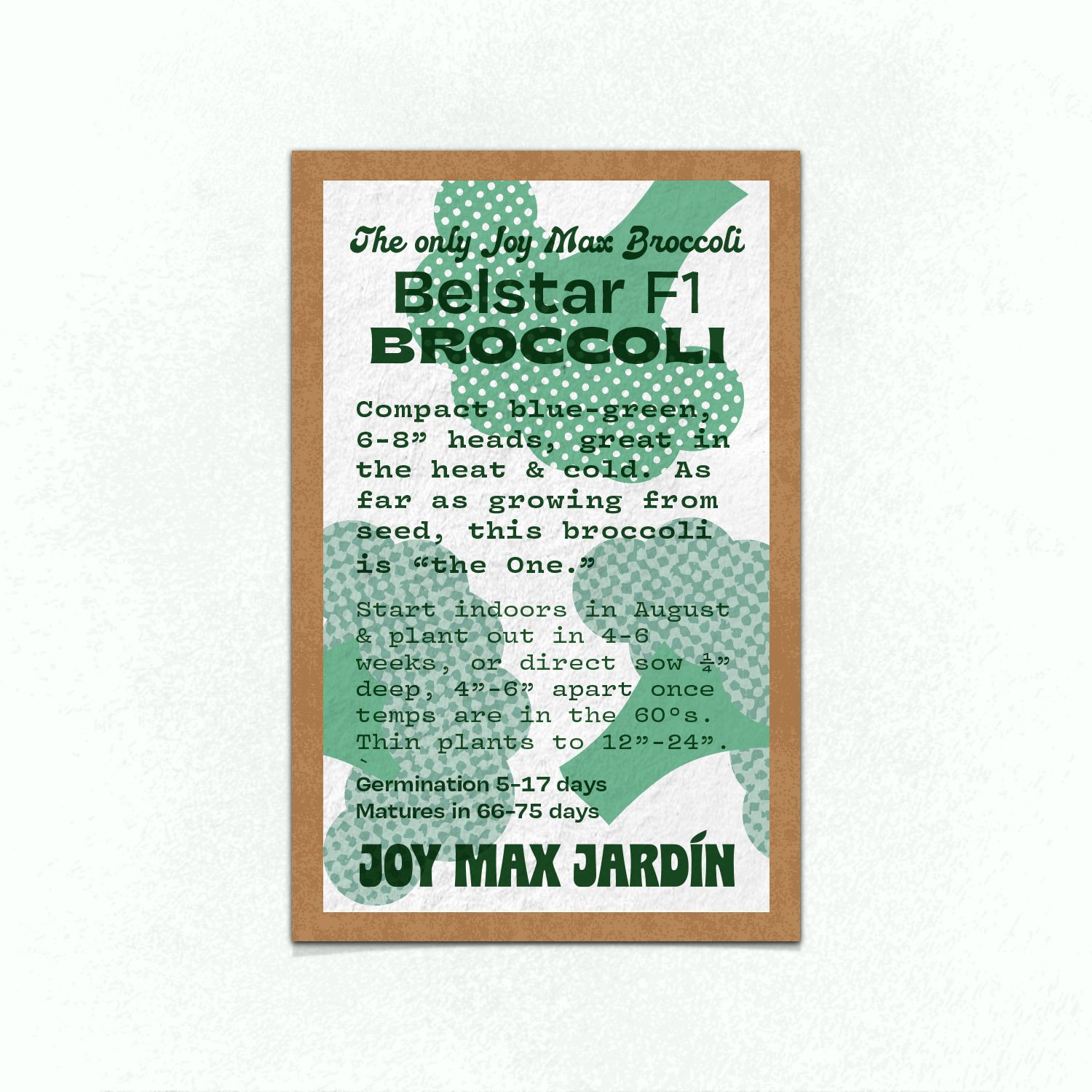 Belstar Broccoli — Joy Max Jardín