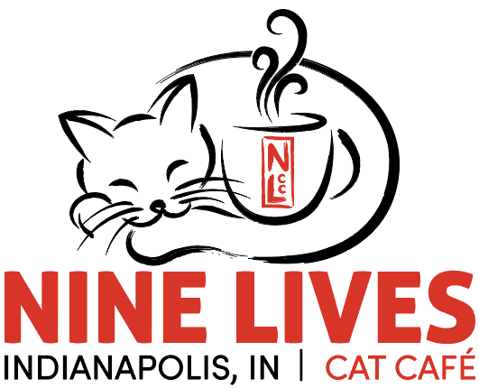 Nine Lives Cat Cafe