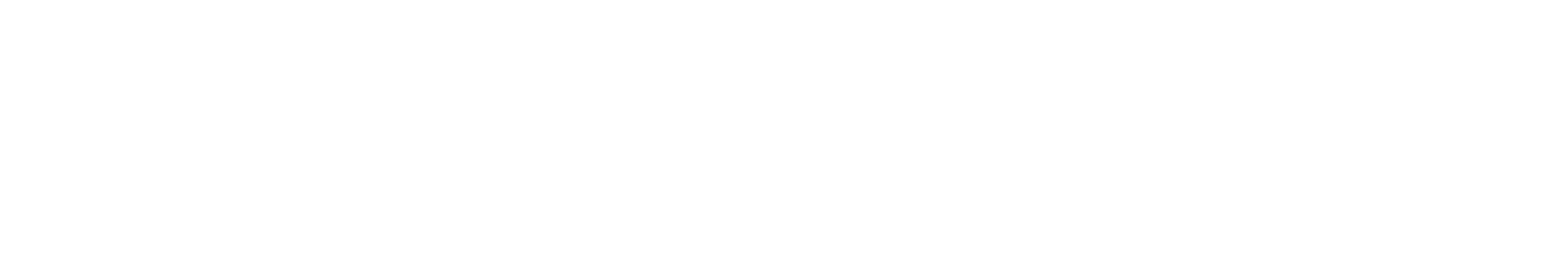 National Society of Arts and Letters