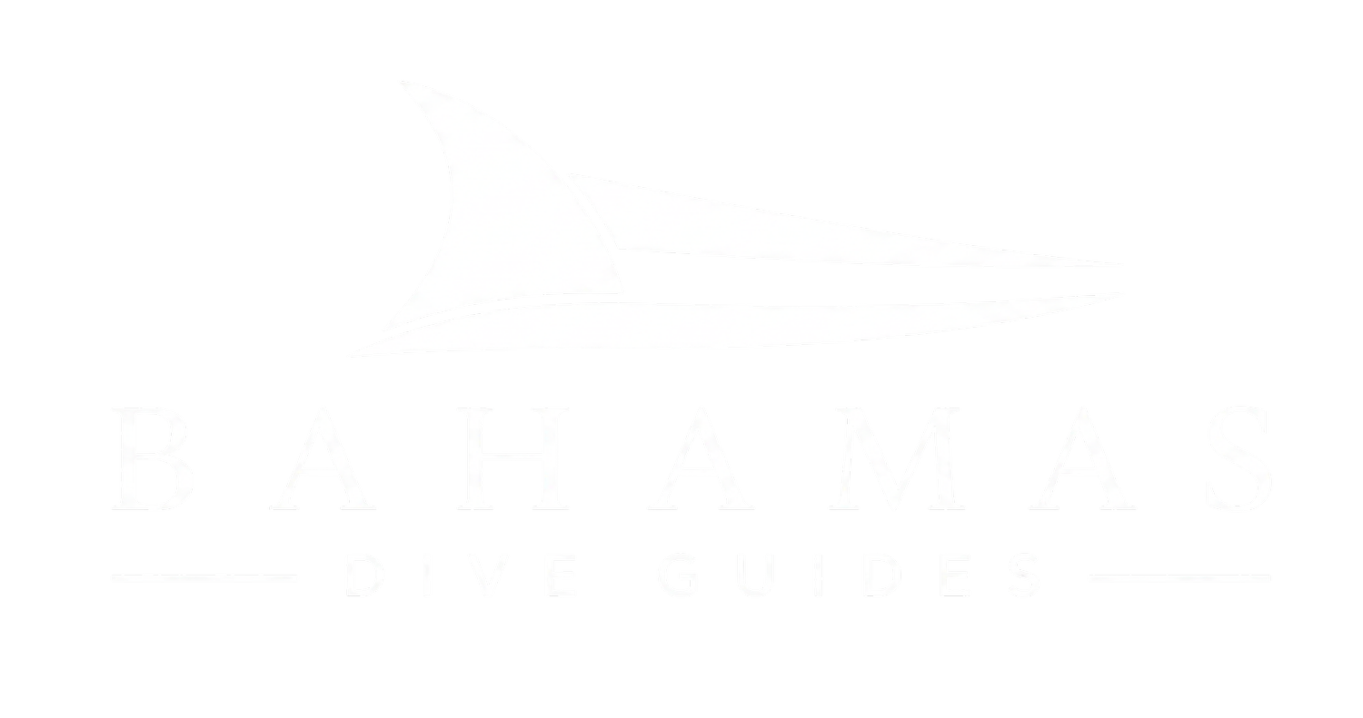 Bahamas Dive Guides