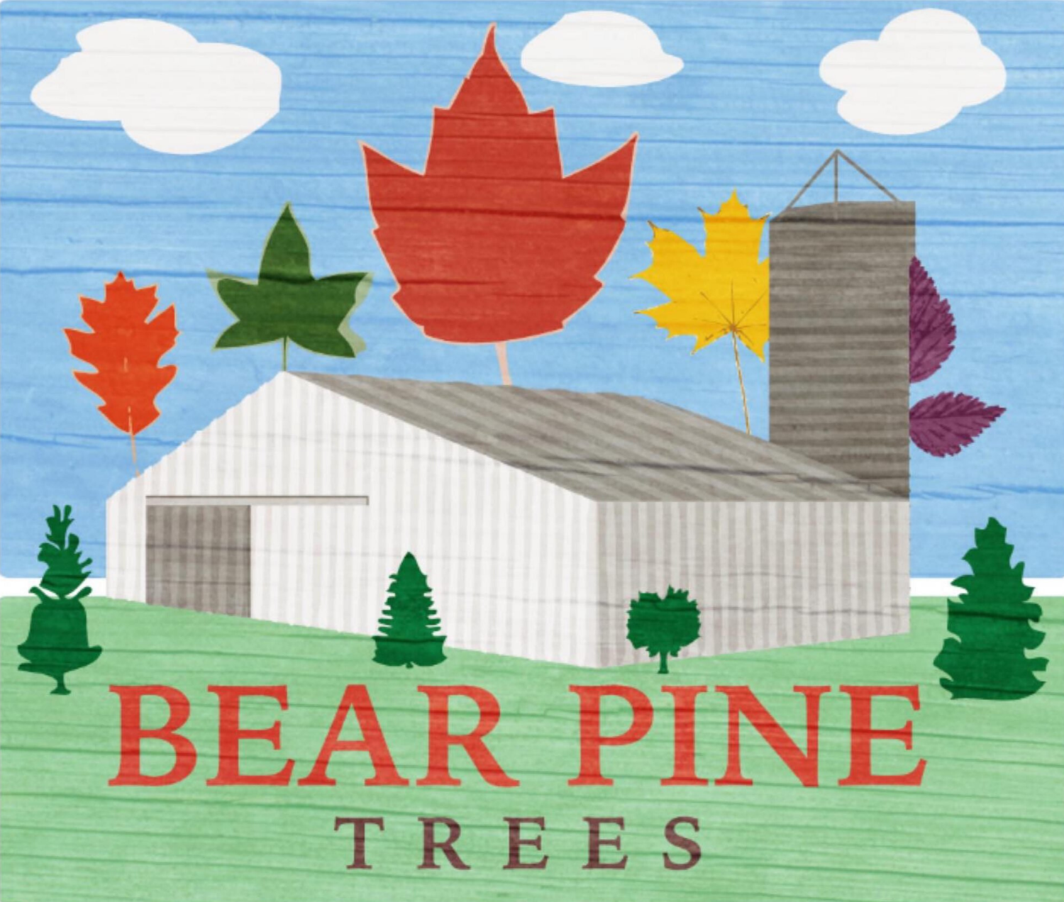 Bear Pine Trees
