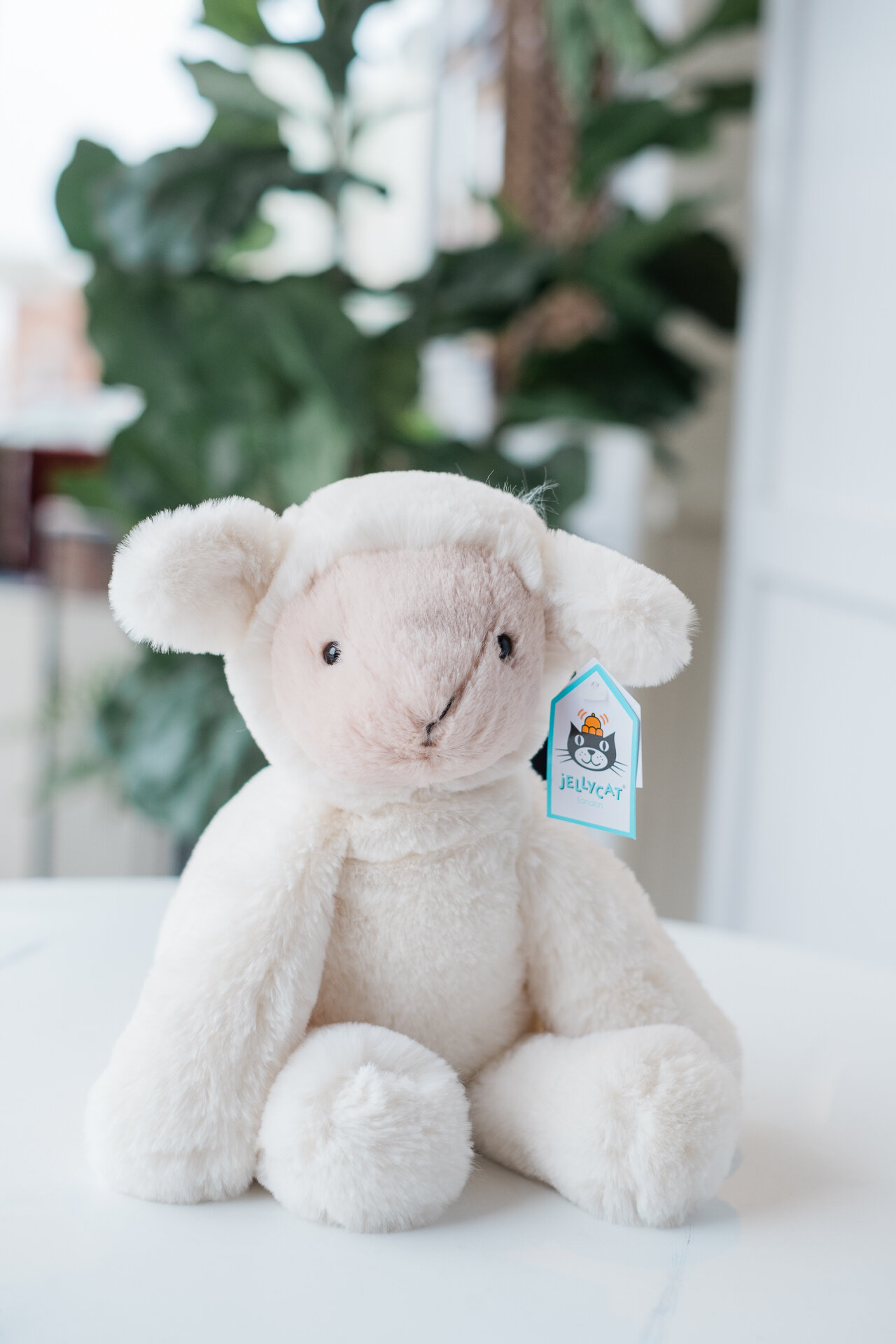 smudge jellycat