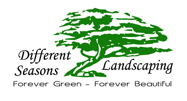 Different Seasons Landscaping