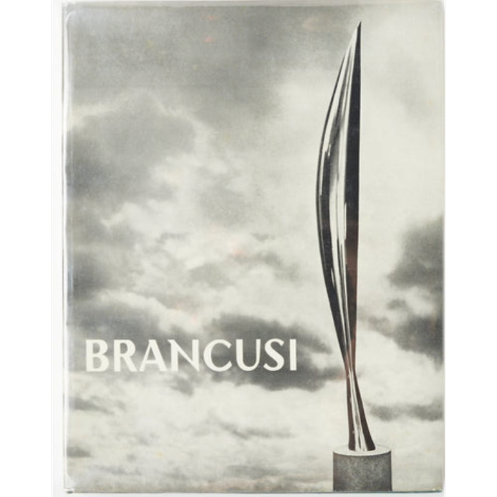 Brancusi Book