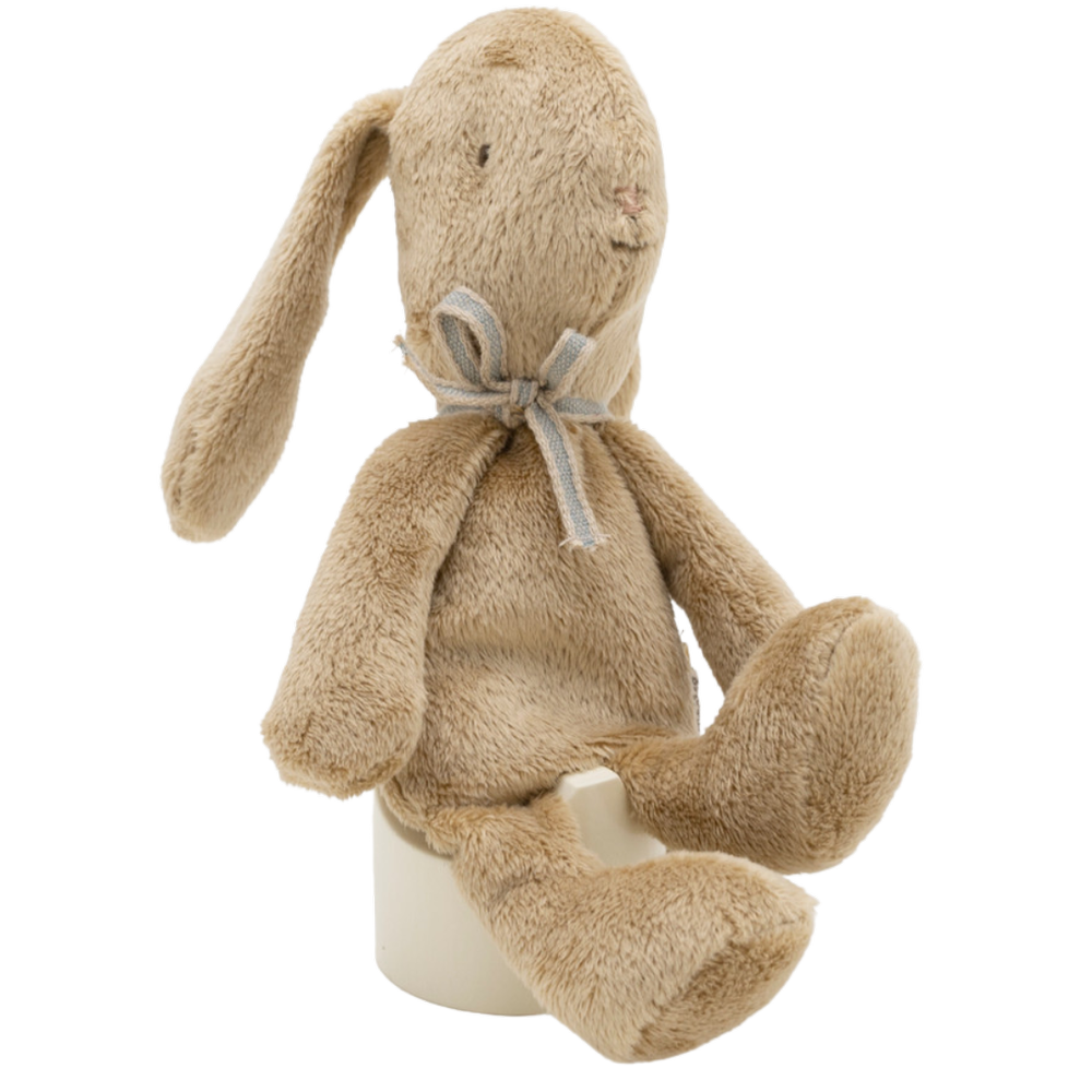 Soft Brown Bunny