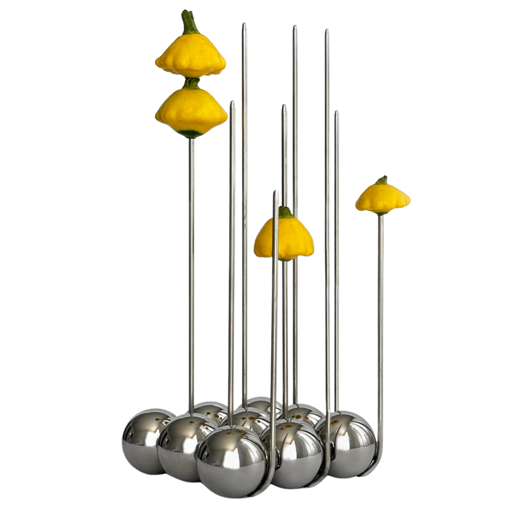Stainless Steel Skewers
