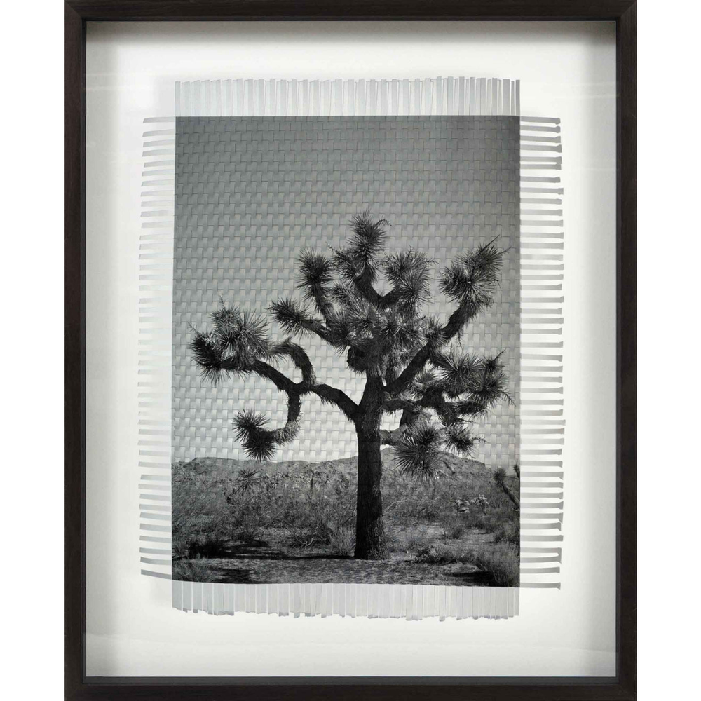 Handwoven Photograph Art