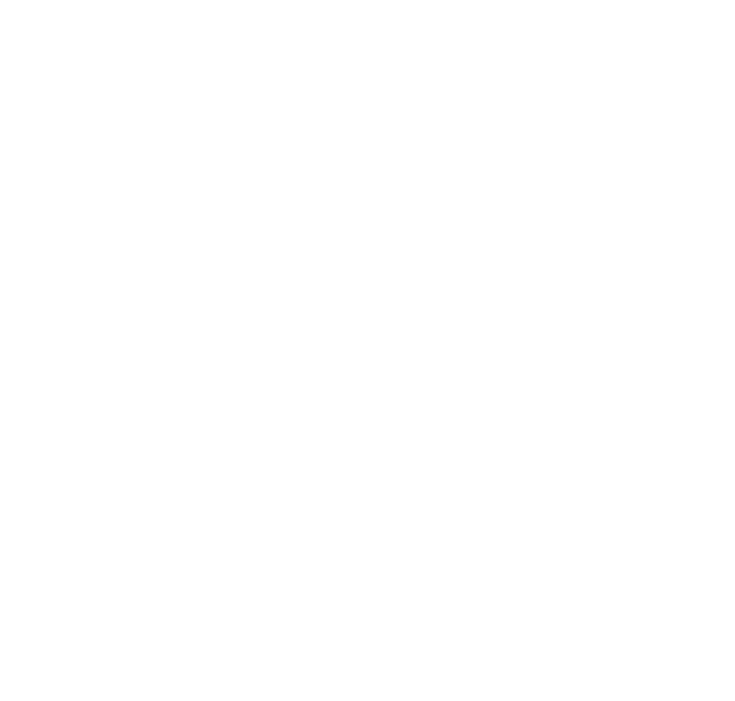 The Museum Of__