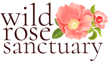 wild rose sanctuary