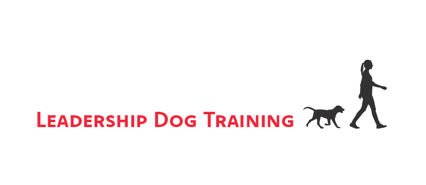 Leadership Dog Training