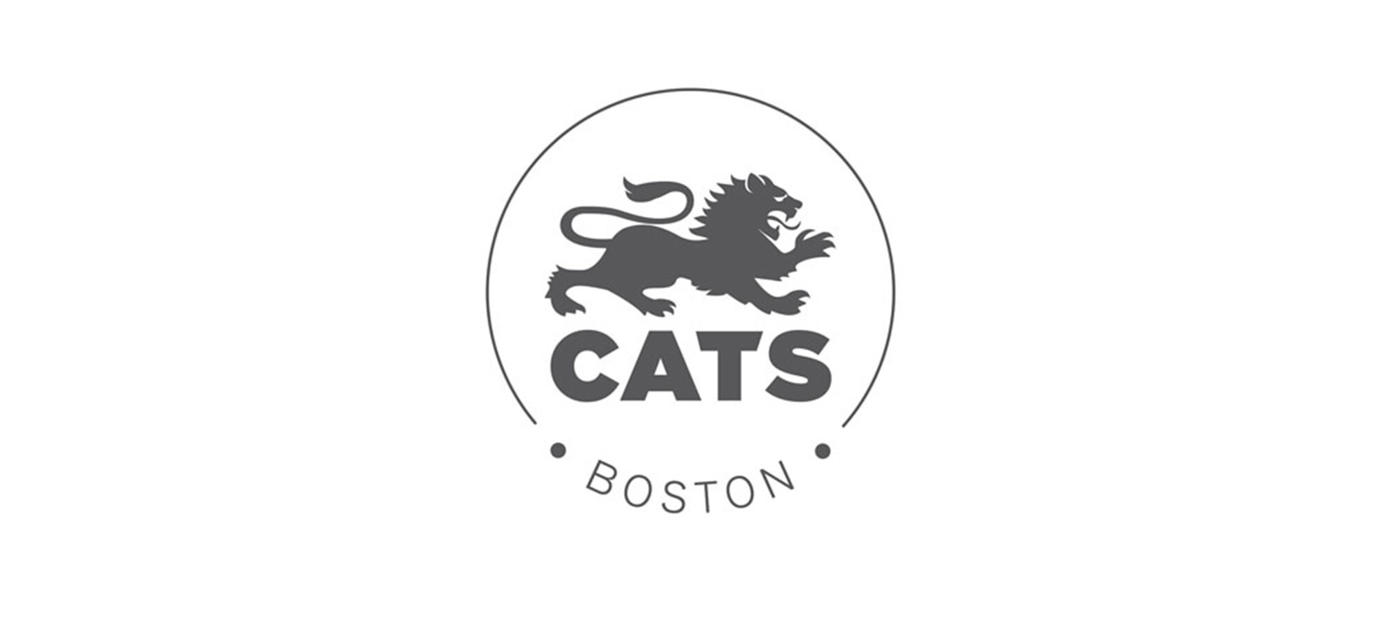 波士顿猫学院.jpg