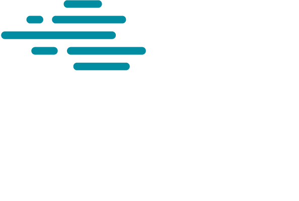 Insight Software Development - Solve complex business problems with bespoke software