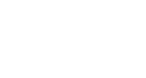 Beyond Words