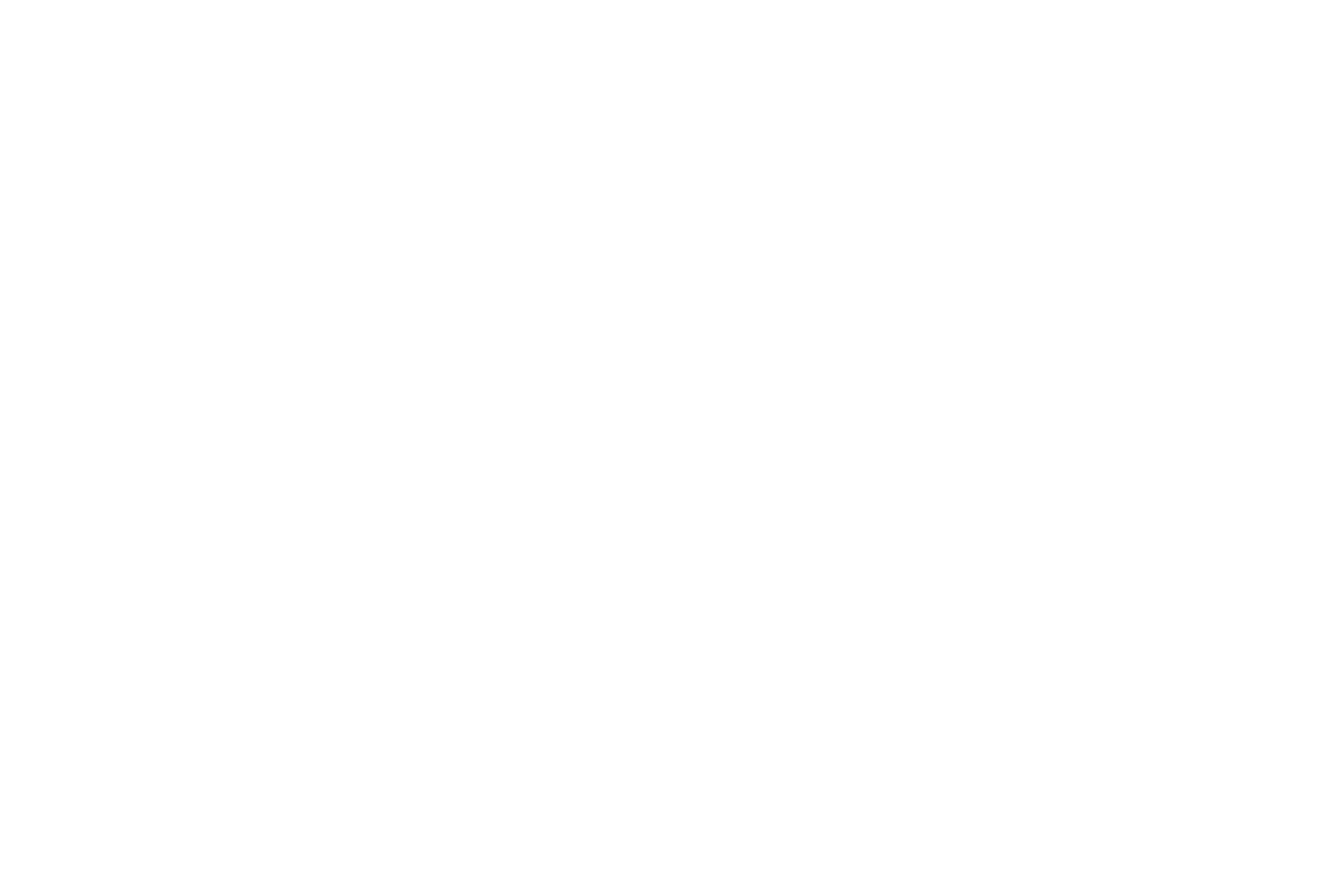 BY FIRE &amp; SWORD